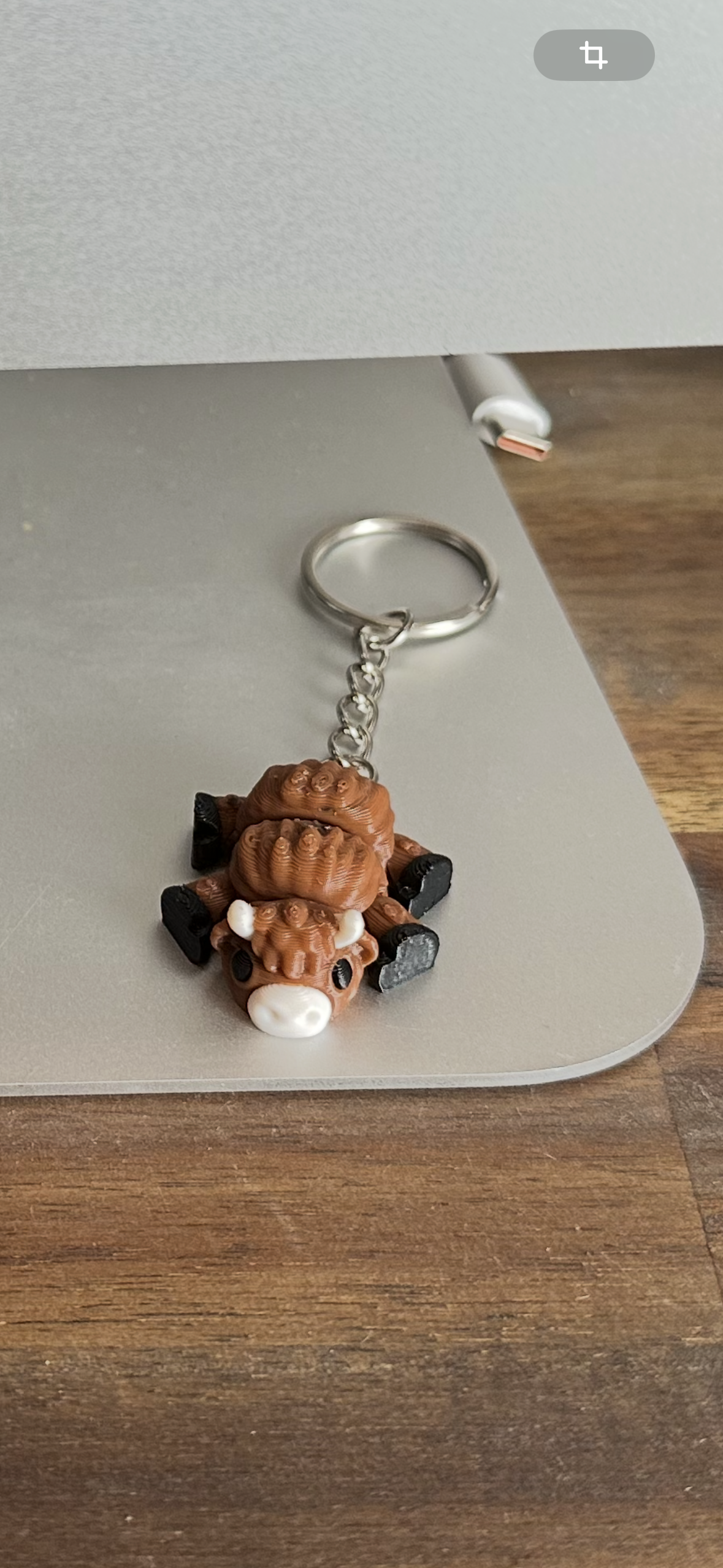 Schlüsselanhänger „Hochlandrind Mini-Kuh-Flexi“