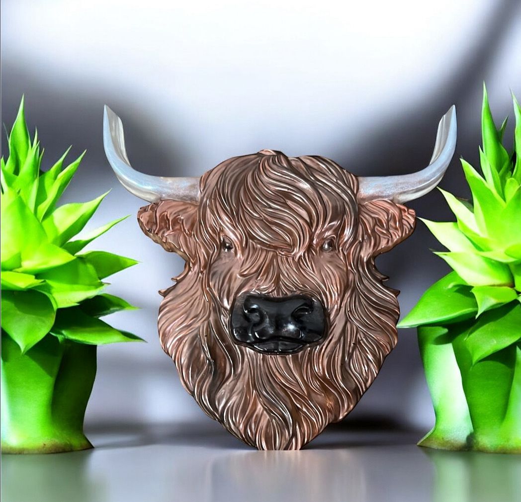 🐂 Hochlandrind Kopf aus Epoxidharz